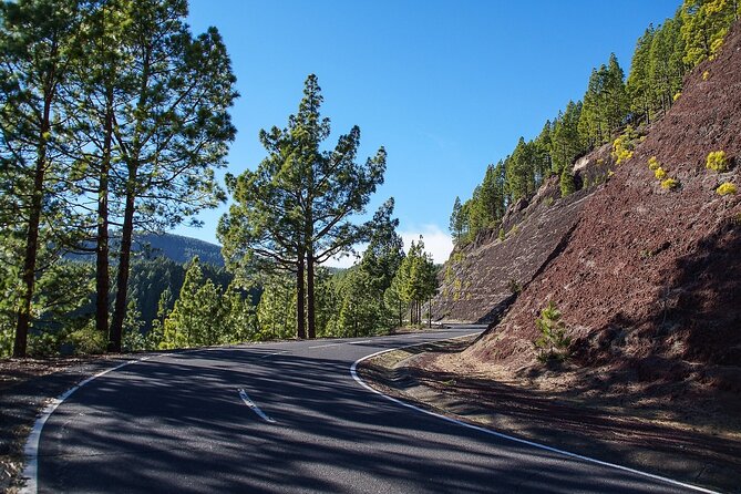 Tenerife Highlights VIP Custom Private Tour - photos included - A cruise-safe Santa Cruz start that keeps the day on track