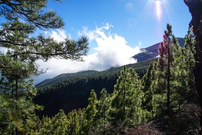 Tenerife Highlights VIP Custom Private Tour - photos included - Candelaria: the Black Madonna shrine, sea wall statues, and optional lunch