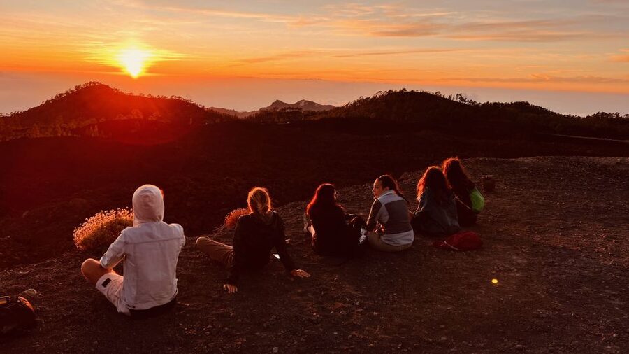 Tenerife: Private VIP Tour Teide National Park - Key highlights