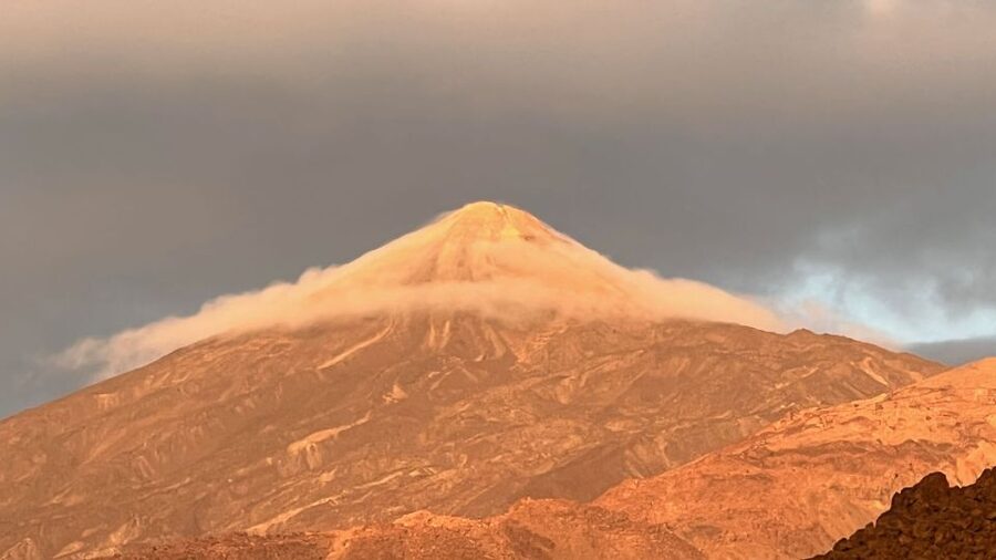 Tenerife: Private VIP Tour Teide National Park - Climbing from the south: the vegetation story up to 2,400 meters