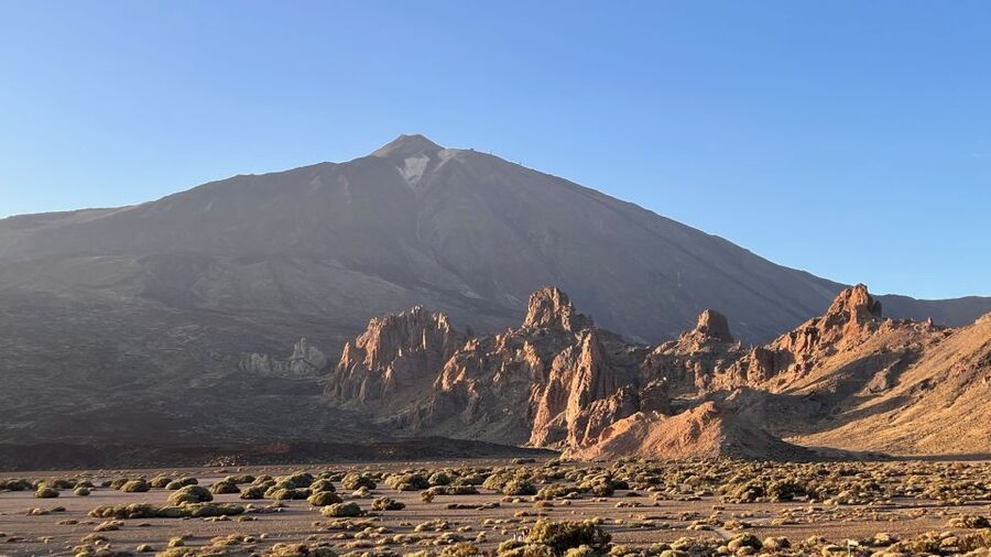 Tenerife: Private VIP Tour Teide National Park - Corona Forestal: Pino Gordo and the forest that changes with height