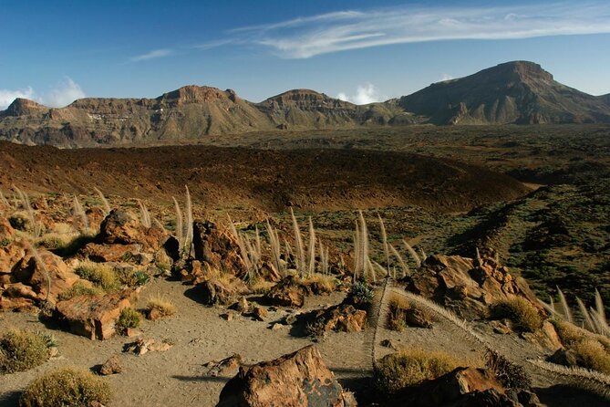 Tenerife VIP Tour - Key points that make this Tenerife VIP day worth your time