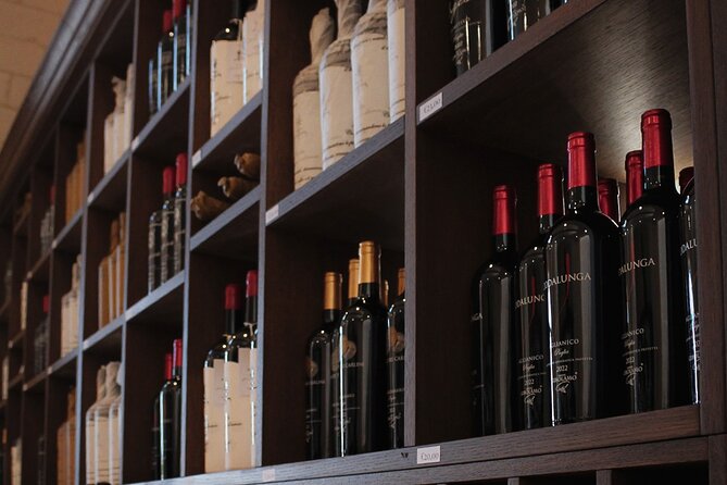 Tenute Girolamo: Wine Tour VIP - Who This Tour Suits Best (and Who Might Skip It)