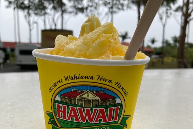 "The Dole Plantation" & "North Shore" Private Limousine VIP Tour! - Private Limo VIP: what you’re really paying for