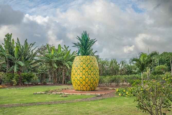 "The Dole Plantation" & "North Shore" Private Limousine VIP Tour! - North Shore Macadamia Nut Company: quick tasting with big payoff