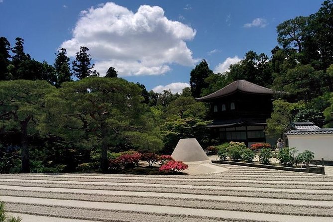 The Kyoto VIP Experience! - Stop 2: Bamboo Forest Street—quick beauty breaks that don’t drain the day
