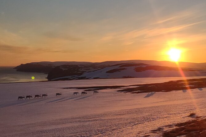 The VIP North Cape Tour - Entering the Arctic with a VIP group size (not a herd)