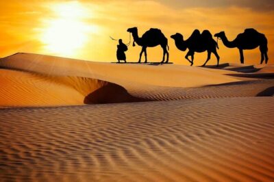 Thrilling dune bashing with VIP Desert camp delicious BBQ & shows - Dune bashing over High Red Golden dunes: the thrill component