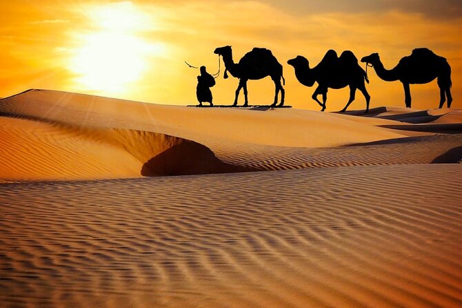 Thrilling dune bashing with VIP Desert camp delicious BBQ & shows - Dune bashing over High Red Golden dunes: the thrill component
