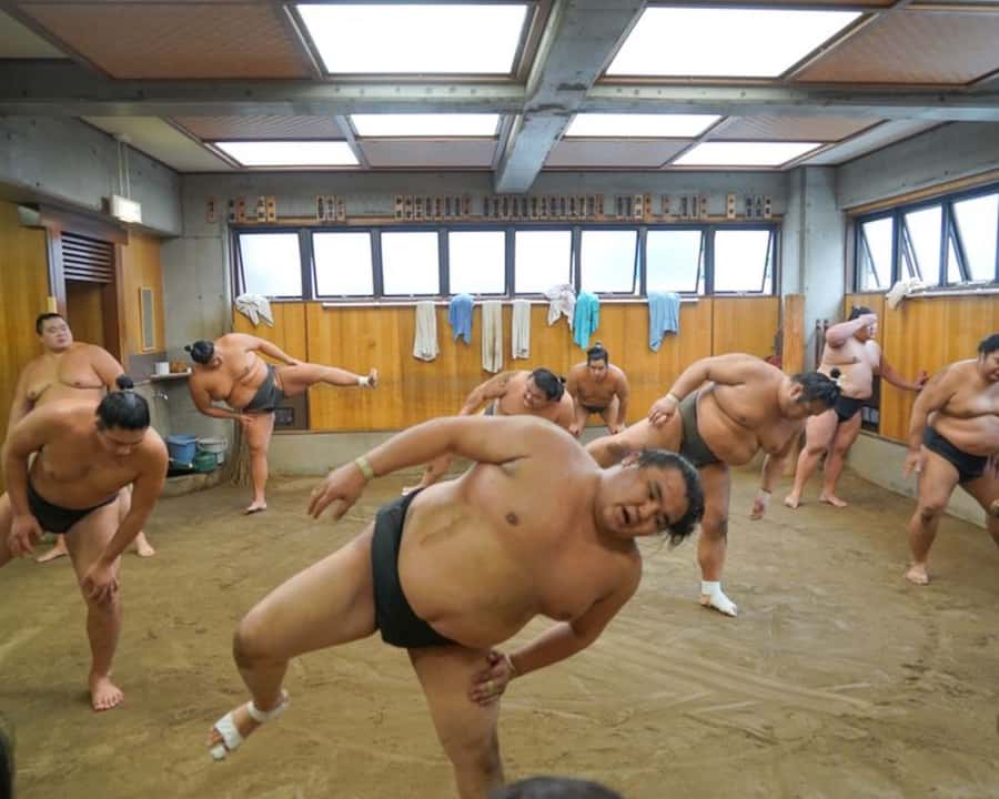 Tokyo: Exclusive Access to Sumo Morning Practice with Photos - Why Sumo Training Feels Different Than a Stadium Match