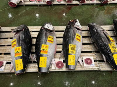 Tokyo Toyosu Tuna Auction + Breakfast (Sushi Dai or Bentomi) - Getting there early: PR Square and the 5:25 AM reality