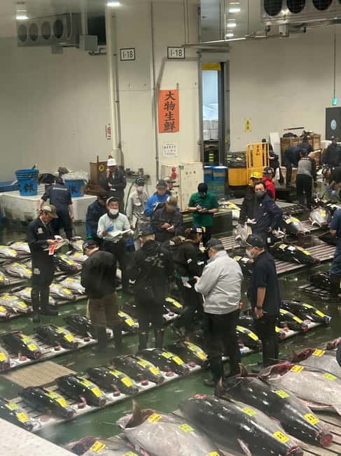 Tokyo Toyosu Tuna Auction + Breakfast (Sushi Dai or Bentomi) - Price and value: is $141 worth it?
