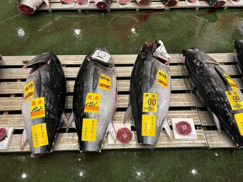 Tokyo Toyosu Tuna Auction + Breakfast (Sushi Dai or Bentomi) - Getting there early: PR Square and the 5:25 AM reality