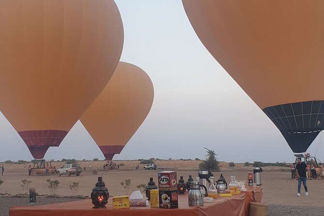 Top vip one hour private flight royal breakfast on board - Palm grove camel ride: a fun add-on with a real consideration