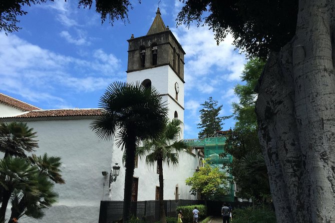 Tour Around the Island - Private VIP Tour in Tenerife - How the private VIP format saves your Tenerife vacation