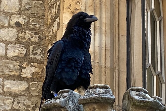 Tower of London & Westminster Abbey VIP Tour with expert guide - Westminster Abbey: coronation power, royal tombs, and key symbols