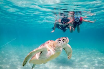 Tulum VIP Private Tour with Sea Turtles & Cenote – Award-Winning - Cenote Options at Taak Bi Ha: From Zip Lines to an Underground River