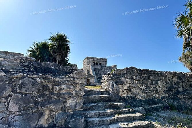 Tulum VIP Private Tour with Sea Turtles & Cenote – Award-Winning - What You’re Really Paying For: Value Breakdown