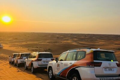 Ultimate Evening Desert Safari with Quad Biking & VIP Service - Dubai Desert Conservation Reserve: the setting and what to expect