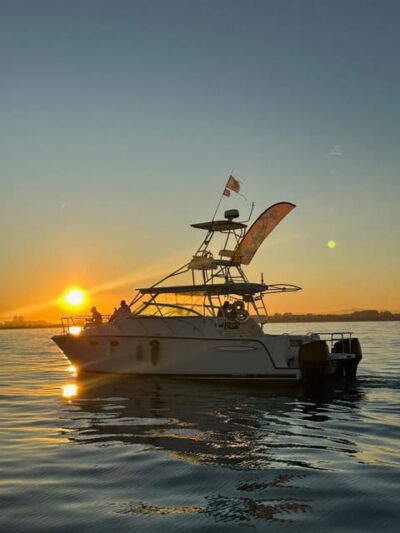 Valencia: VIP Sunset Cruise in Catamaran with drink - The VIP catamaran setup: small-group comfort without the fuss