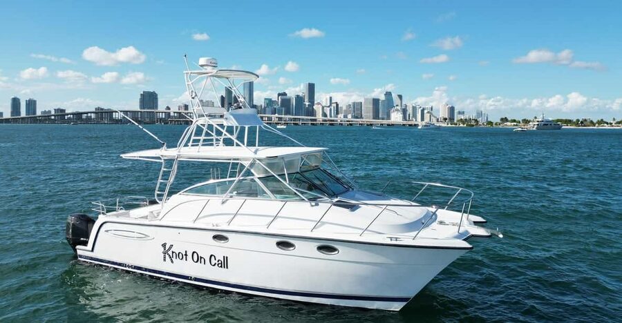 Valencia: VIP Sunset Cruise in Catamaran with drink - Should you book this VIP sunset cruise from Wavepol?