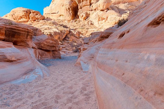 Valley of Fire/ Mojave Desert VIP Small Group Tour From Las Vegas - Key things to know before you go
