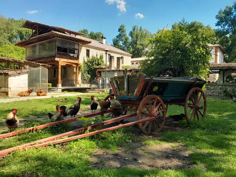Varna: Guided VIP Tour - Why this Varna VIP day feels different than a basic excursion