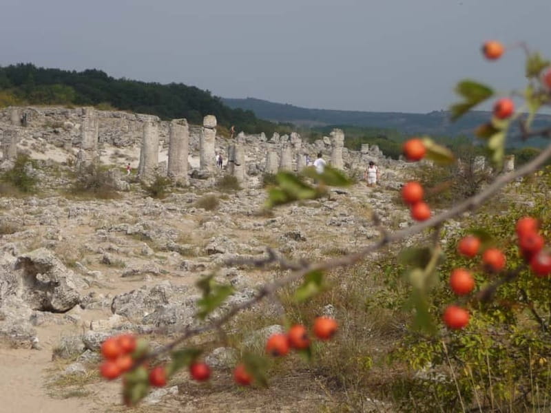 Varna: Guided VIP Tour - Rakia tasting at a local distillery: tradition you can taste