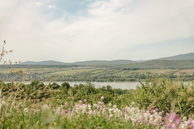 VIP Agritourism Tour of Île d’Orléans & Montmorency Falls (Lunch) - Lunch Included: 3 to 5 Courses With Drink and Real Local Flavor