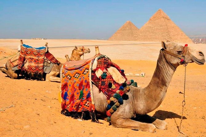 VIP All inclusive Best of Giza Pyramids, Sphinx, Sakkara, Memphis - Memphis: Ramses II and the Alabaster Sphinx in Egypt’s Old Capital