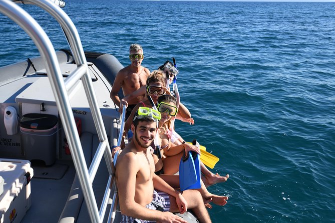 VIP Aloha Nui Snorkel Adventure w/ optional SCUBA from Lahaina - Snorkeling Stops: Coral Gardens, Fish Schools, and Green Turtles