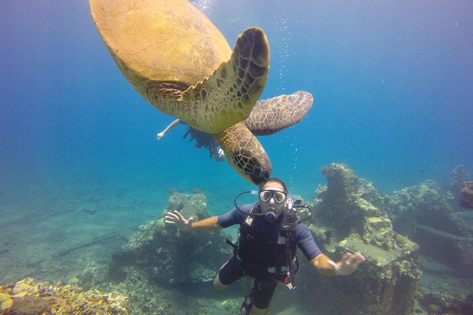 VIP Aloha Nui Snorkel Adventure w/ optional SCUBA from Lahaina - Lunch, Snacks, and the Floating Mat Break