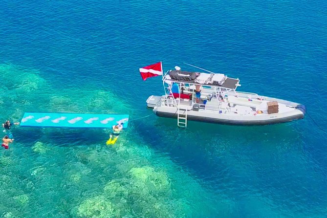 VIP Aloha Nui Snorkel Adventure w/ optional SCUBA from Lahaina - Mala Boat Ramp Start: Getting There Without Stress