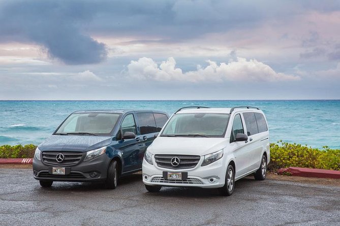 VIP Aloha Style Private Island Tour - Why a private Oahu day feels different than doing it alone