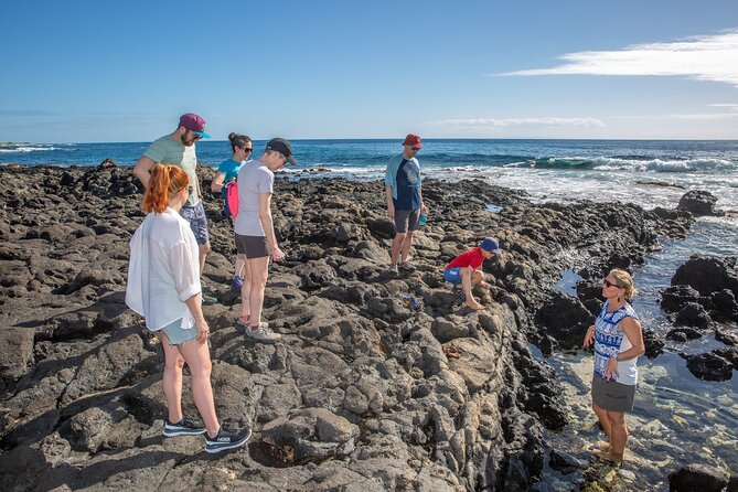 VIP Aloha Style Private Island Tour - Kualoa Regional Park, then North Shore to Haleiwa: the day’s payoff section