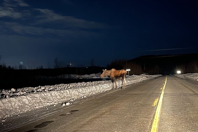 Vip Aurora Adventure from Fairbanks - The 11 pm Fairbanks timing that makes aurora viewing work