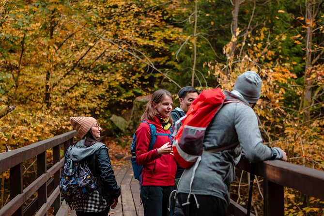 VIP Best Reviews: Bohemian & Saxon Switzerland from Prague - Saxon Switzerland: Bastei Bridge is the main event for a reason