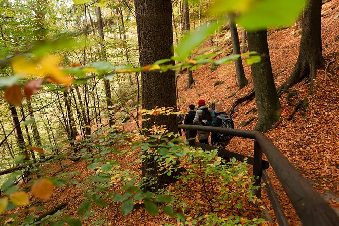 VIP Best Reviews: Bohemian & Saxon Switzerland from Prague - How guides shape the day: safety, pacing, and photo instincts