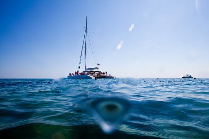 VIP Catamaran 4 hour Activity with Snorkeling in Bulgaria - Wildlife spotting: dolphins are possible, not guaranteed