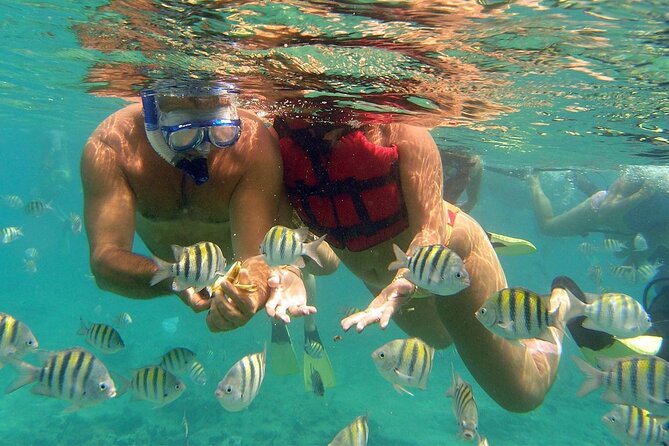 VIP Catamaran with Snorkeling - Snorkeling session: gear, fish-spotting, and comfort