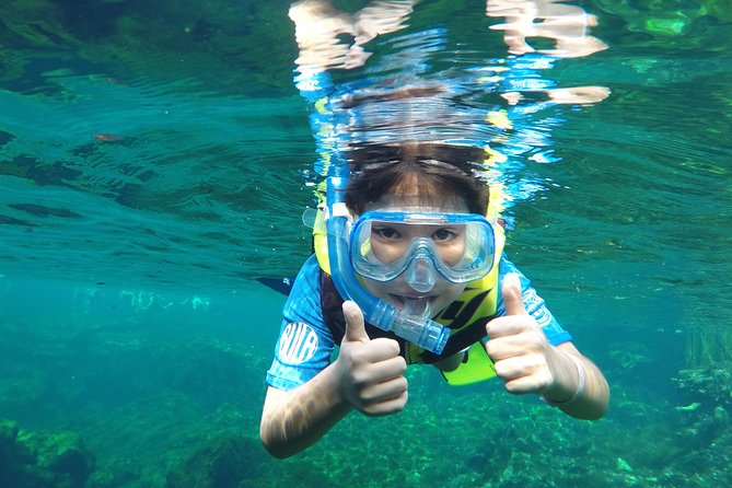 VIP Cenotes Private Tour - Stop 1: Yal-ku Lagoon and Open-Sky Cenote Time
