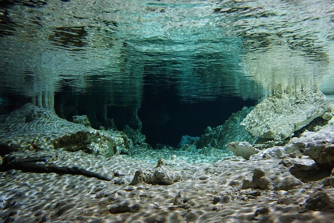 VIP Cenotes Private Tour - Snorkel Gear, Wildlife Chances, and Getting Better Views