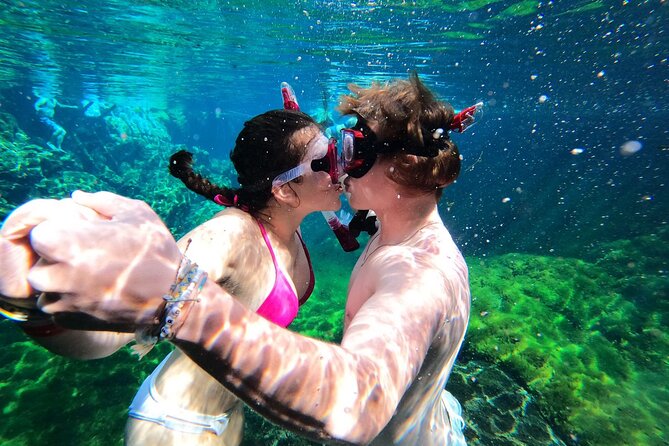 VIP Cenotes Private Tour (half-day) - Price and value: what $185 per person is really paying for