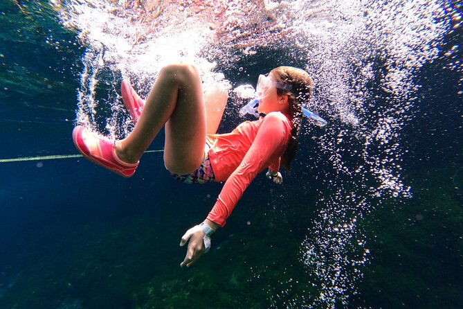 VIP Cenotes Private Tour (half-day) - Cenote Xunaan Ha: open jungle water and the joy of simple swimming