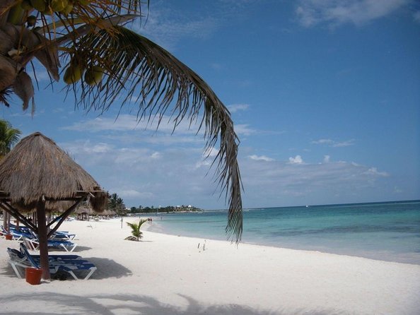 VIP Cenotes & Turtles Private Tour - Key things to know before you go