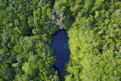 VIP Cenotes & Turtles Private Tour - Cenote Xunaan Ha: jungle air, open water, and jump-in energy