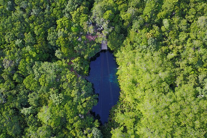VIP Cenotes & Turtles Private Tour - Cenote Xunaan Ha: jungle air, open water, and jump-in energy