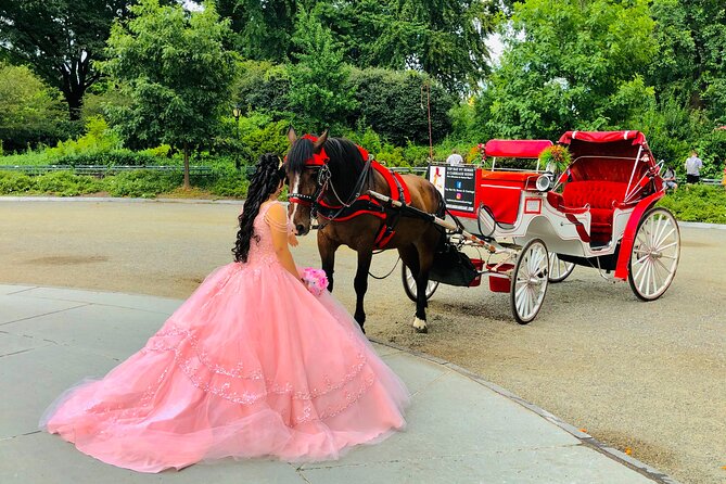 VIP Central Park Champagne Tour with Photos(50 min)~Skip the line - Stop 1: Bethesda Fountain for classic Central Park drama