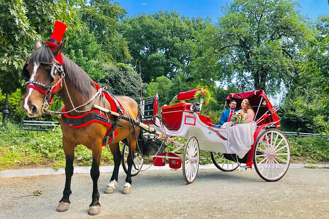 VIP Central Park Champagne Tour with Photos(50 min)~Skip the line - Stop 2: Bethesda Terrace for softer romance and great framing