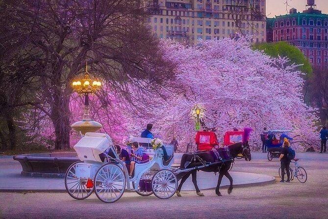VIP Central Park Champagne Tour with Photos(50 min)~Skip the line - Proposal and anniversary planning: making the moment feel personal